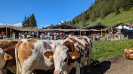Geburtstagsfeier_20